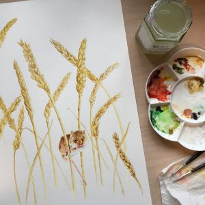 harvest mouse artwork by Catherine Cook