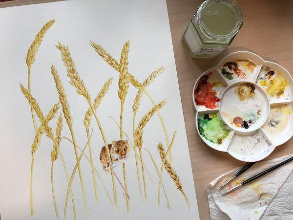 harvest mouse artwork by Catherine Cook