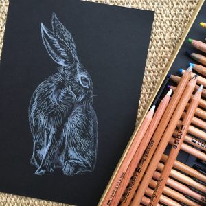 Hare pencil drawing