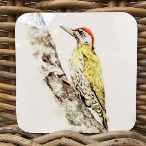 woodpecker coaster