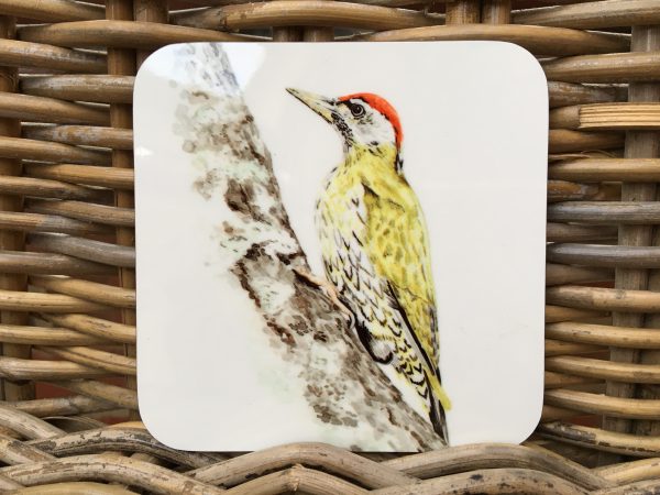 woodpecker coaster